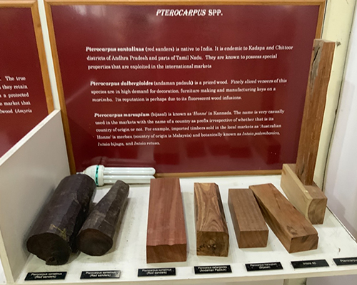 Gopalan Architecture College