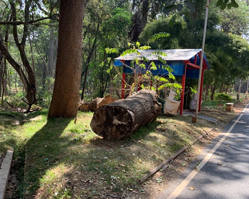 Gopalan Architecture College
