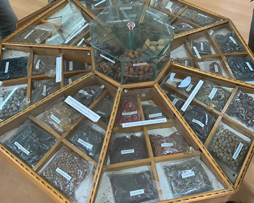 Gopalan Architecture College