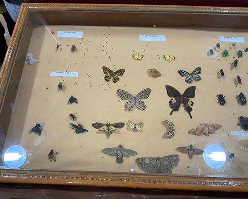 Gopalan Architecture College